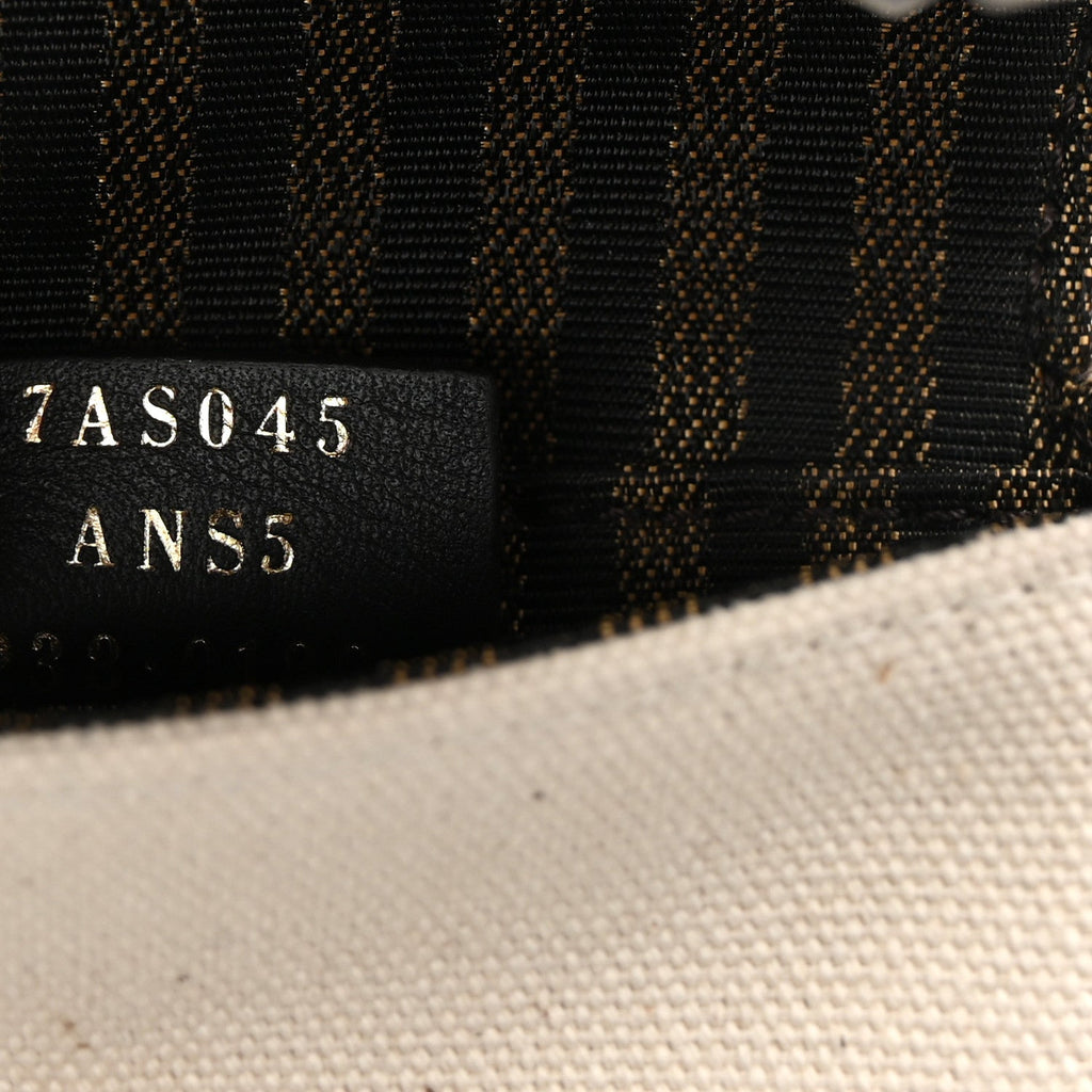 Canvas Nappa FF Multicolor Embroidered Nano Maxi Buckle Baguette Charm Grezzo Multicolor