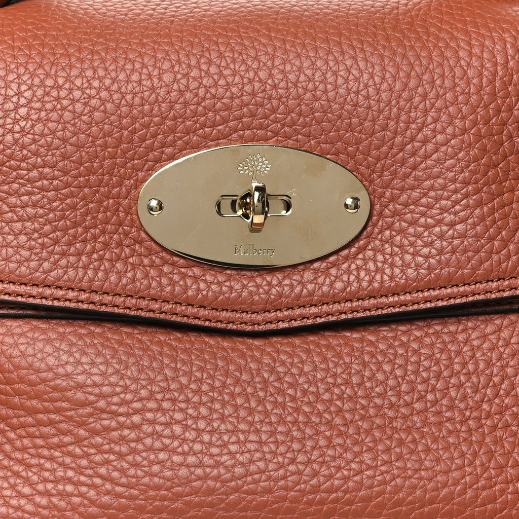 Heavy Grain Medium Alexa Chestnut