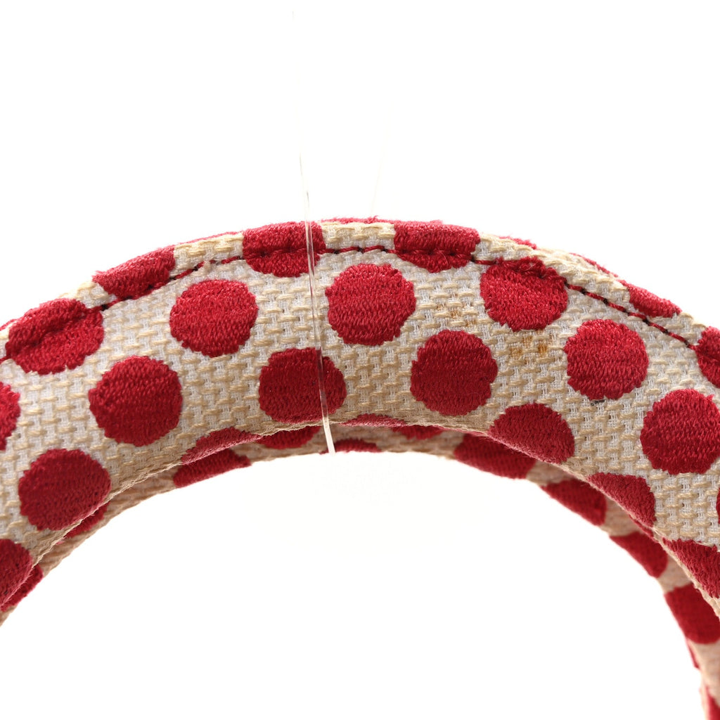 Canvas Medium DiorAmour Dots Lady D-Lite Red