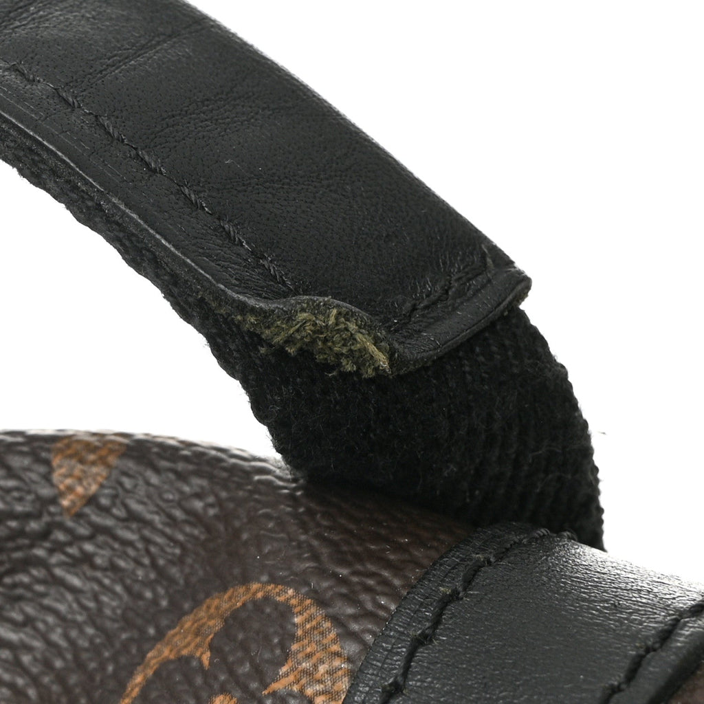 Monogram Macassar Christopher PM Backpack