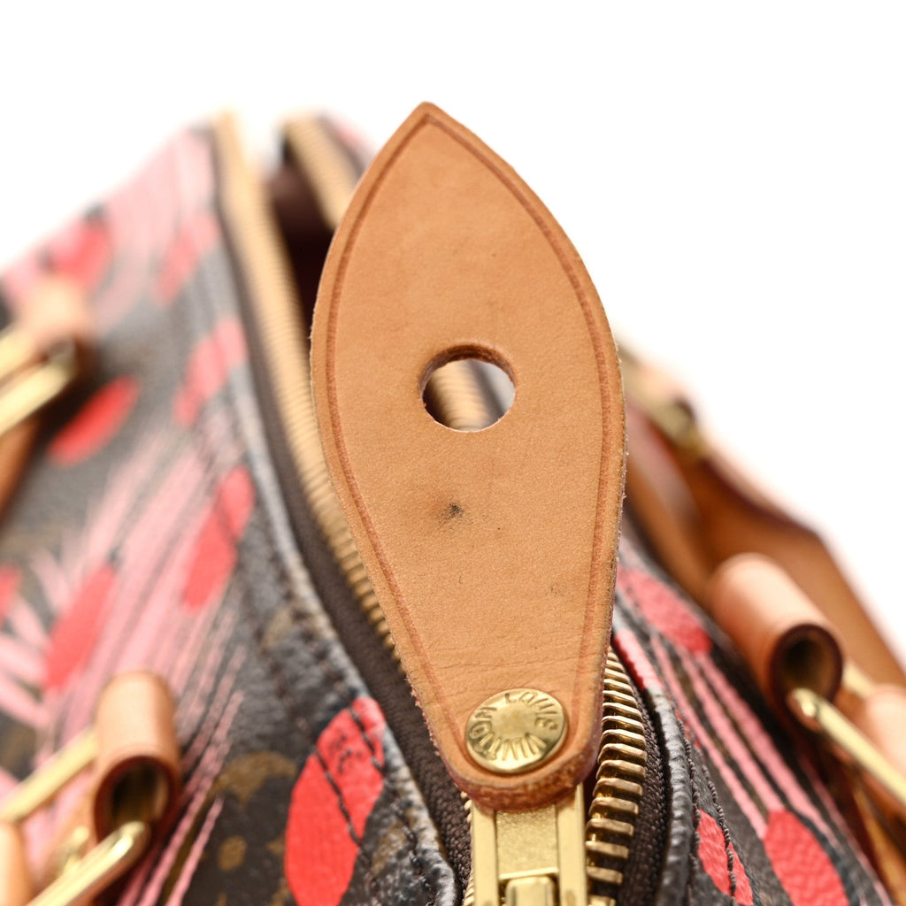 Monogram Jungle Dots Speedy 30 Sugar Pink Poppy