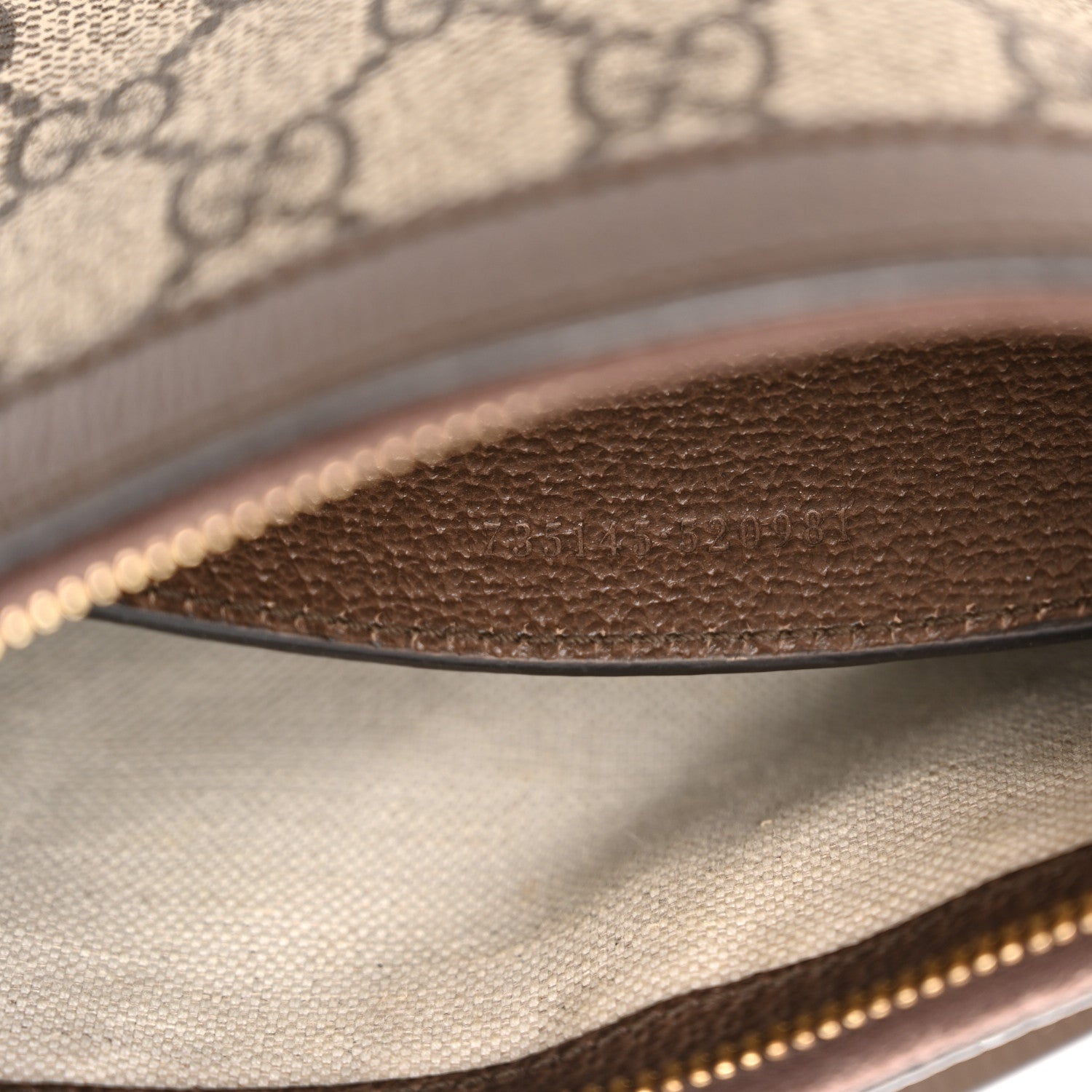 GG Supreme Monogram Textured Dollar Calfskin Small Ophidia Hobo Beige Ebony New Acero