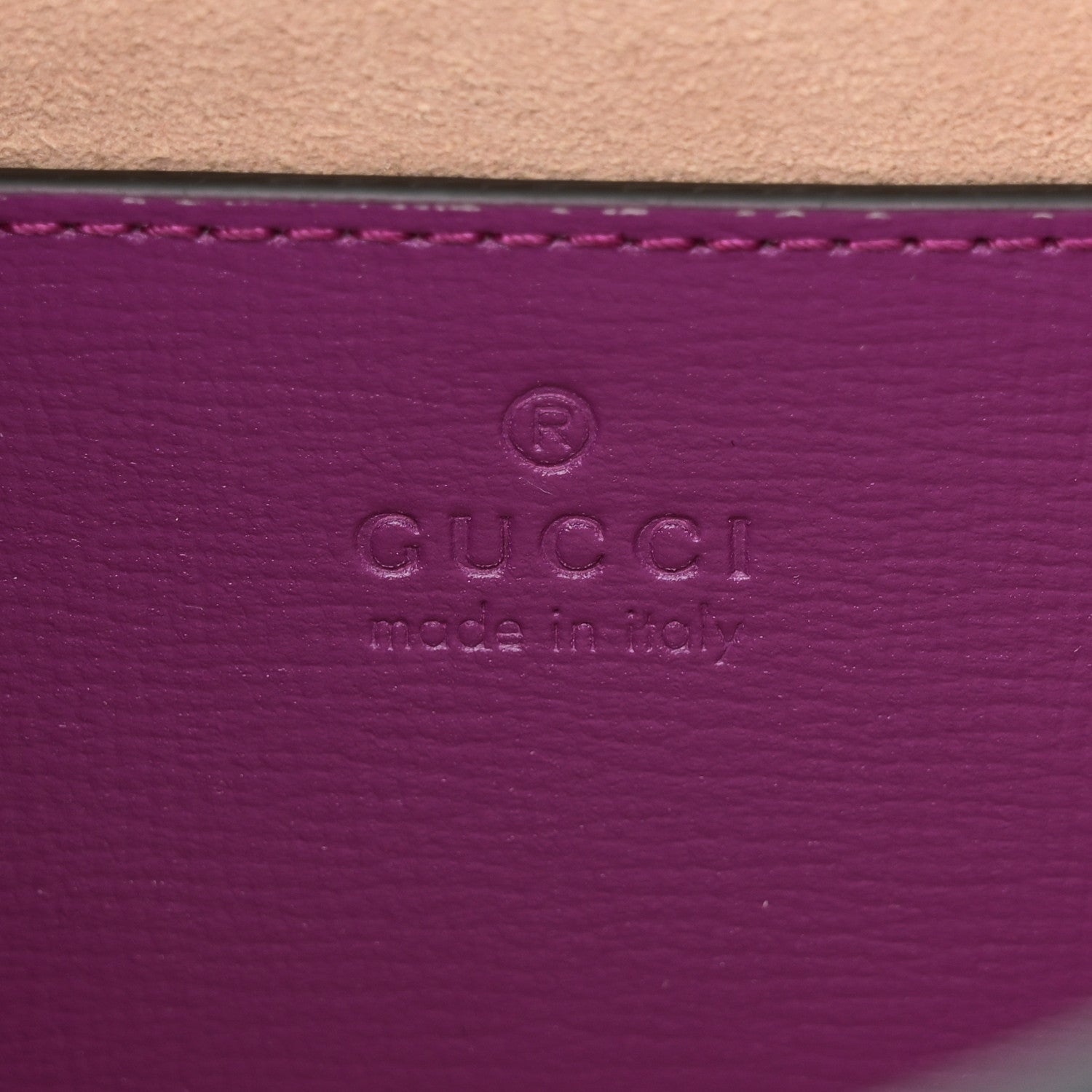 Azalea Calfskin Web Monochrome Mini Horsebit 1955 Chain Shoulder Bag Spicy Cyclamin