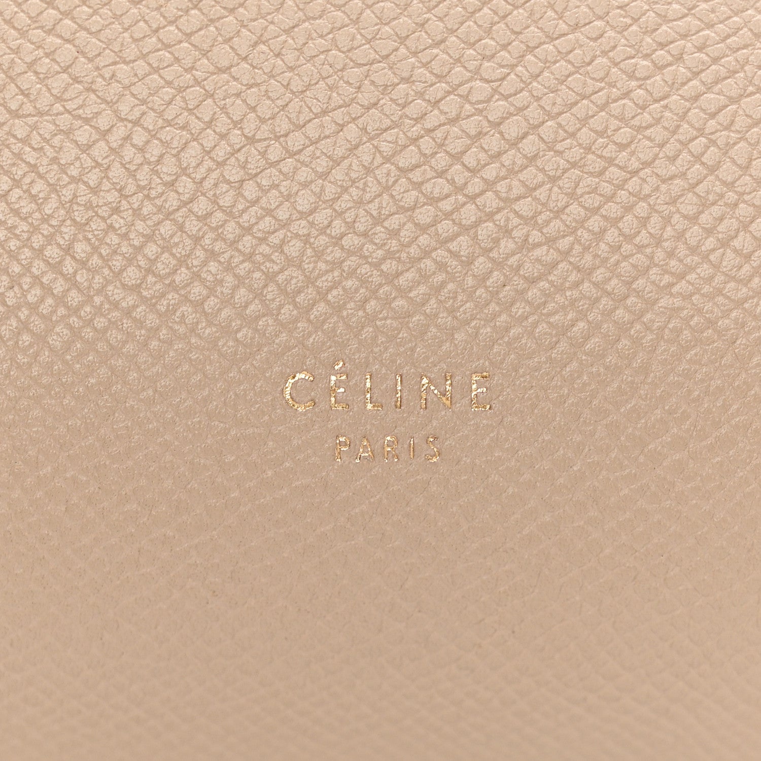 Grained Calfskin Mini Belt Bag Light Taupe