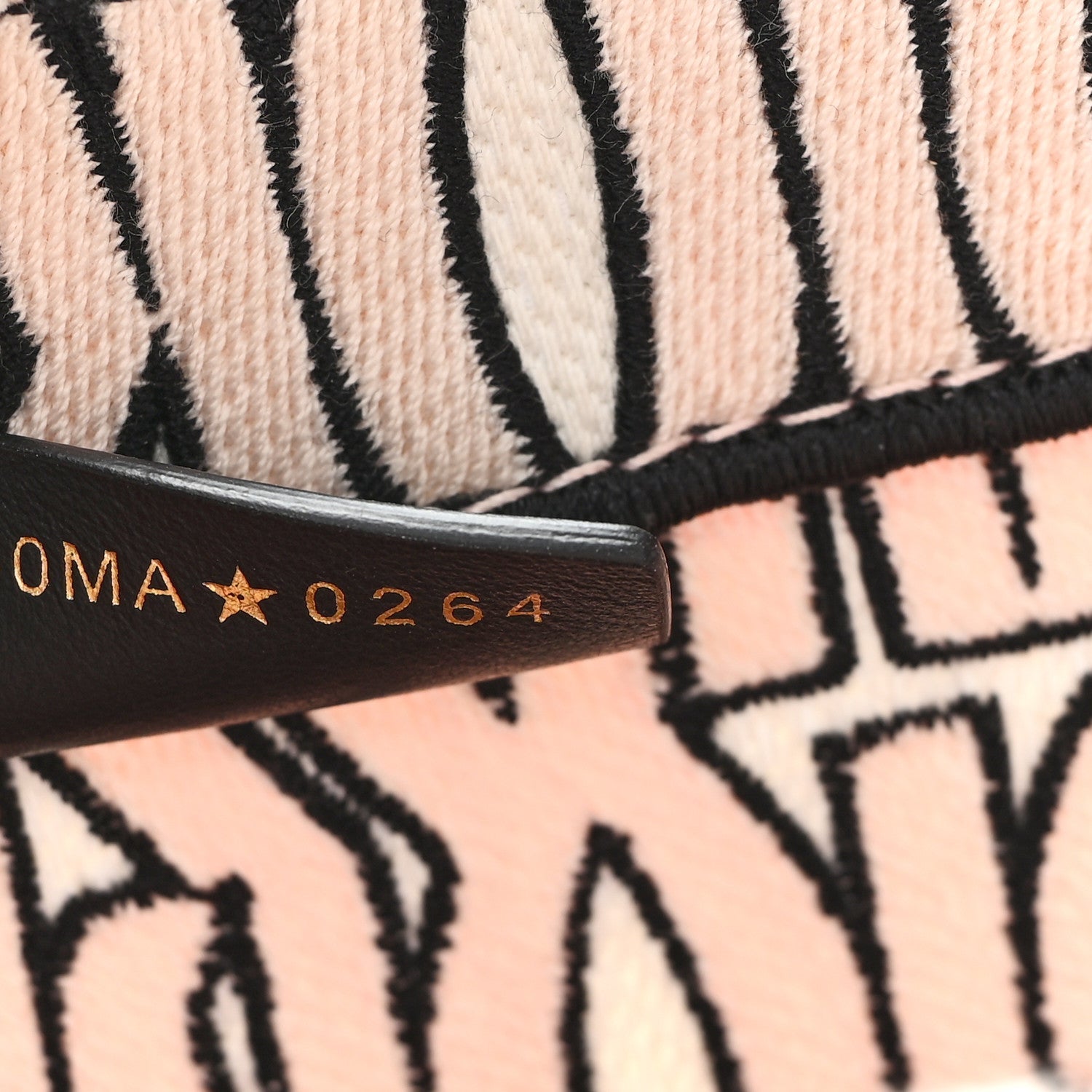 Canvas Embroidered Medium Miss Dior Graffiti Book Tote Pink